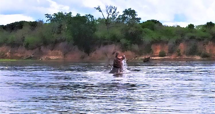 De Zanzíbar a Selous G.R: 5 días de Escapada a la Naturaleza: 3 días completos de safari en coche y excursiones - Beach and Safari Holidays 9