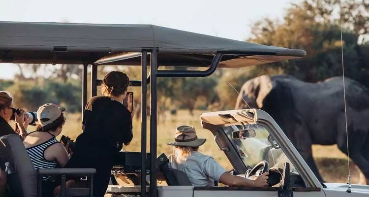 Mensen op safari die een olifant in het veld bekijken.
