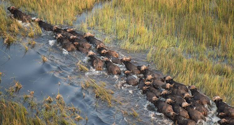 Safari de 3 días por el Delta del Okavango - Jollic Adventure Tour 2