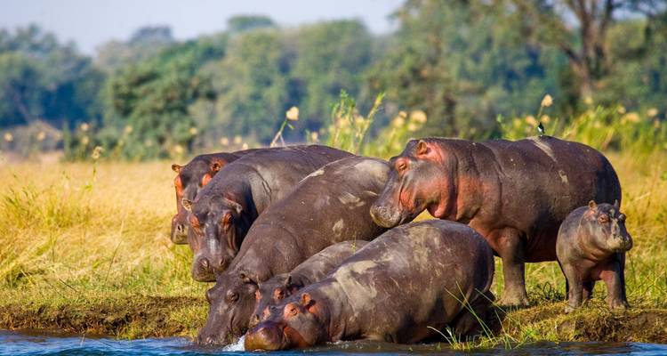 Safari de 3 días por el Delta del Okavango - Jollic Adventure Tour 4