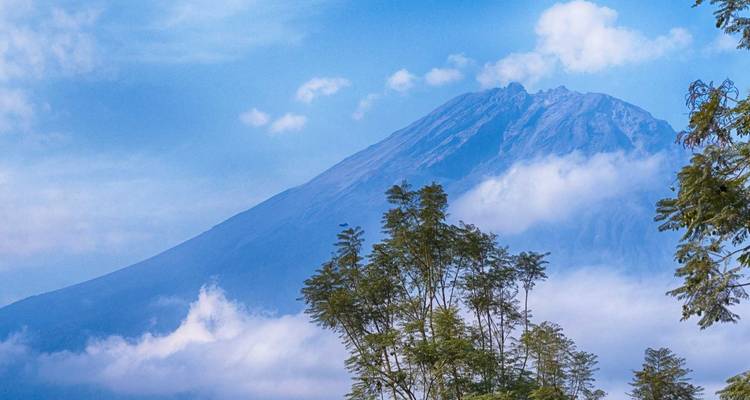Day Tour Arusha National Park - Jollic Adventure Tour 1