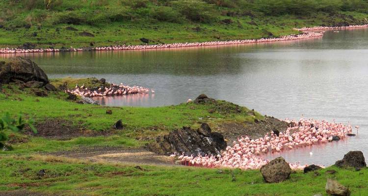 Day Tour Arusha National Park - Jollic Adventure Tour 2