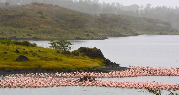 Day Tour Arusha National Park - Jollic Adventure Tour 3