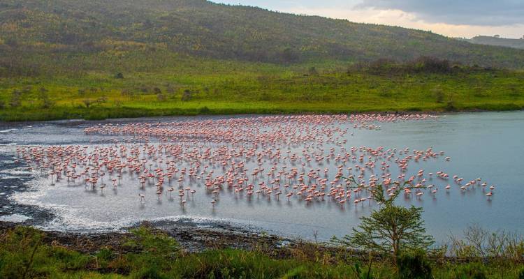 Day Tour Arusha National Park - Jollic Adventure Tour 4