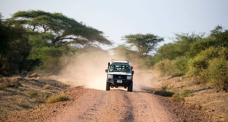Day Tour Arusha National Park - Jollic Adventure Tour 6