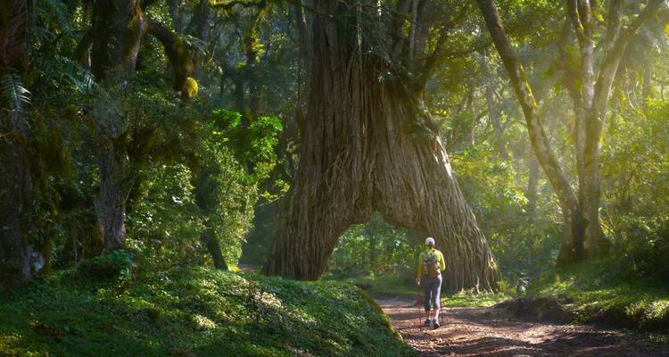 Day Tour Arusha National Park - Jollic Adventure Tour 8