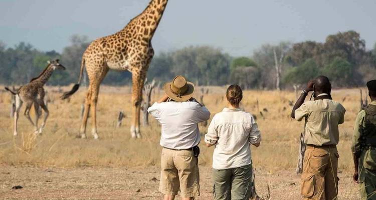 Day Tour Arusha National Park - Jollic Adventure Tour 9