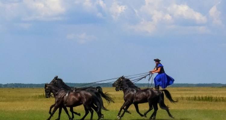 Un viaje fascinante por los pintorescos paisajes de los ríos Danubio, Meno y Rin (crucero puerto a puerto) - CroisiEurope River Cruises 9