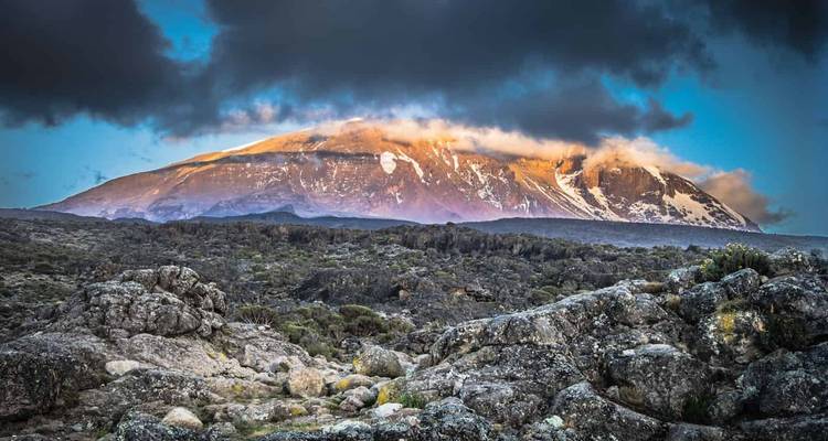 Senderismo de 7 días por la Ruta Machame con estancia de 2 noches en hotel antes y después de la ascensión en Tanzania - Jollic Adventure Tour 1