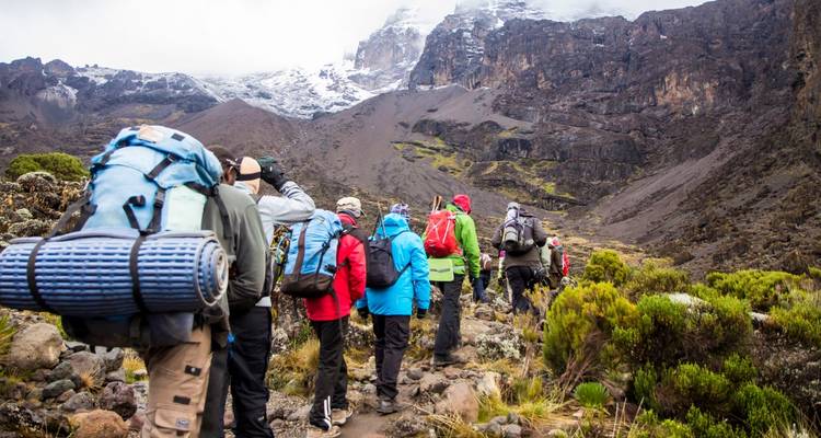 Senderismo de 7 días por la Ruta Machame con estancia de 2 noches en hotel antes y después de la ascensión en Tanzania - Jollic Adventure Tour 6