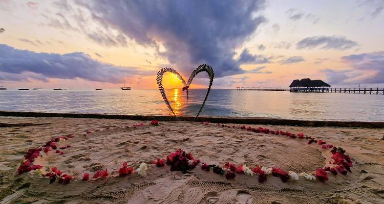 Zanzibar 14 days Diving Holiday, Diving & Beach Escape Trip - Beach and Safari Holidays 3