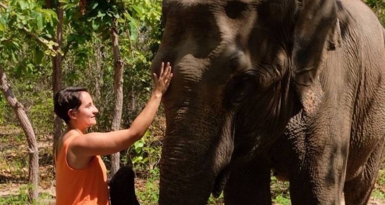 Visite privée du Phnom Tamao centre animalier et du Bouddha Kiri au Cambodge, au départ de Phnom Penh - About Cambodia Travel & Tours 1