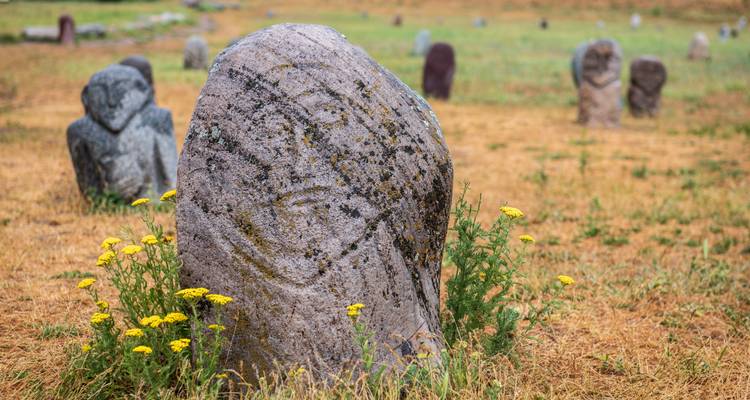Ancient stone grave markers in a field with yellow flowers.