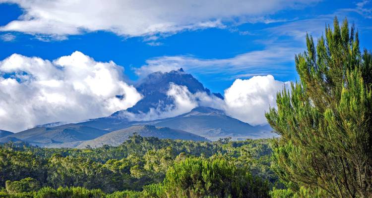 Affordable Kilimanjaro Day Hike - Jollic Adventure Tour 6