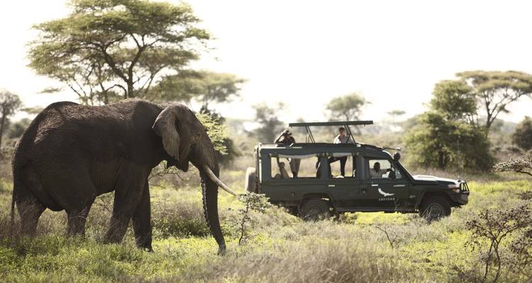 4 Days Ngorongoro, Serengeti & Tarangire Joining |Group Safaris - Jollic Adventure Tour 3