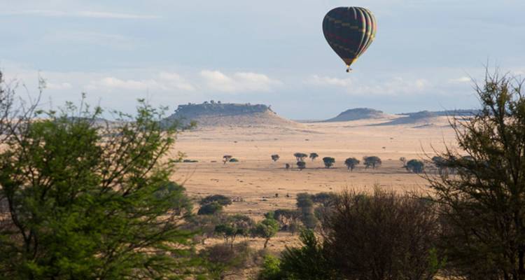 4 Días Lago Manyara, Serengeti y Cráter del Ngorongoro - Jollic Adventure Tour 2