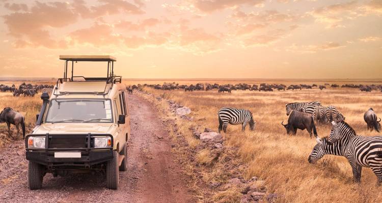 4 Days Serengeti & Ngorongoro Crater Private Safari - Jollic Adventure Tour 3