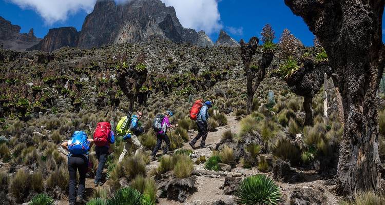 Circuito de un día al Parque Nacional del Monte Kenia - Gracepatt Ecotours Kenya 1