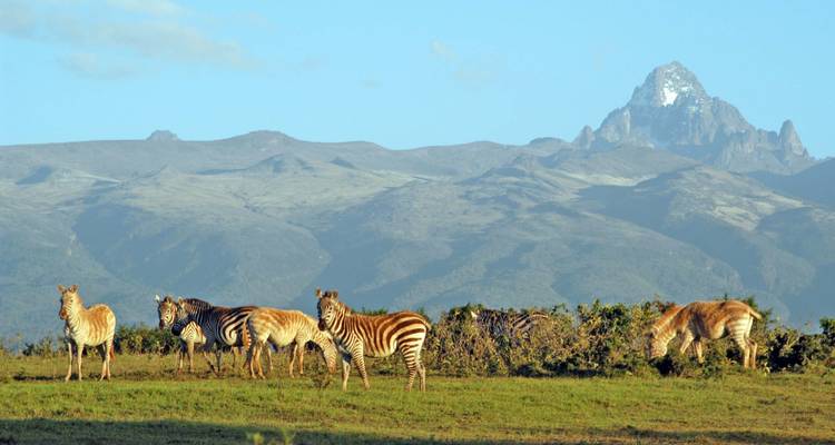 Circuito de un día al Parque Nacional del Monte Kenia - Gracepatt Ecotours Kenya 2