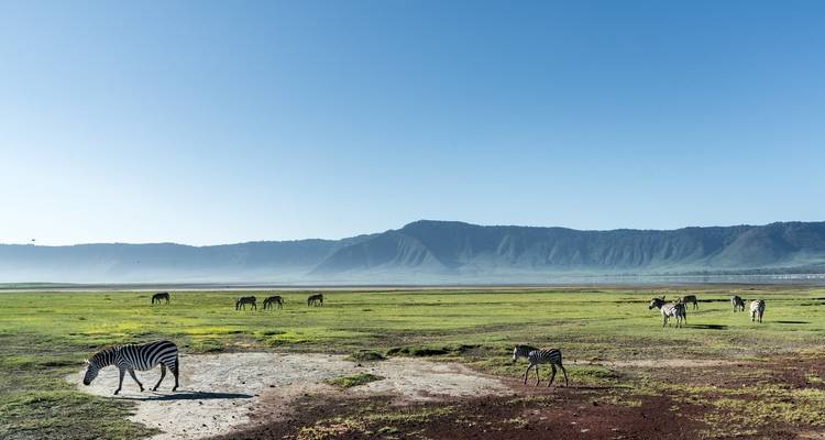 Tanzania 3 Días 2 Noches Tarangire, Lago Manyara y Ngorongoro - Jollic Adventure Tour 1