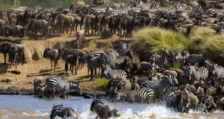 4 Días Masai Mara y Lago Nakuru |Safari en grupo - Jollic Adventure Tour 3