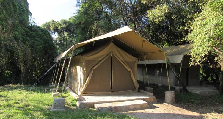 4 Días Masai Mara y Lago Nakuru |Safari en grupo - Jollic Adventure Tour 4