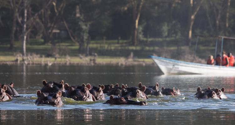 5 Days Masai Mara, Lake Nakuru & Naivasha |Group Safari - Jollic Adventure Tour 9