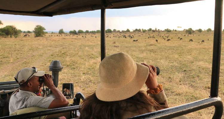 Mensen die wildlife observeren op een safari, uitkijkend over grasrijke vlaktes.