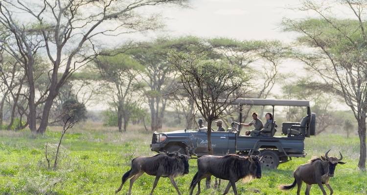 El Safari de Lujo Definitivo en Tanzania (Todo Incluido - Aventura Privada) - Professional Safari Africa 2