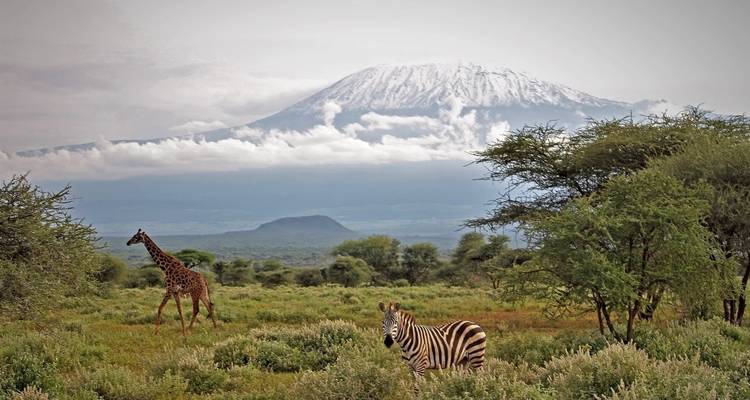 Kenia 7 Días Masai Mara, Nakuru, Naivasha y Amboseli | Safari en grupo - Jollic Adventure Tour 4