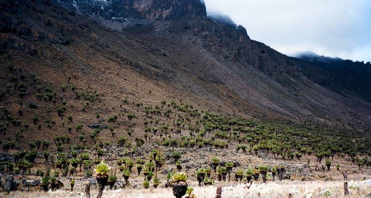 Arusha-Mount Meru Climb 3 Days - Jollic Adventure Tour 1