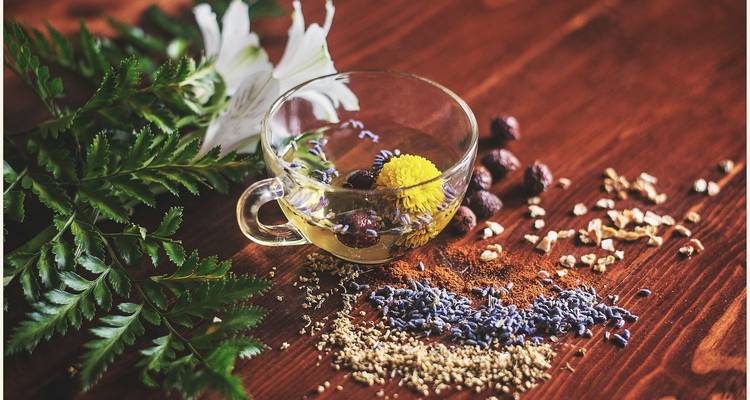 Ayurveda Tour Kerala - GoBook India Tours 1