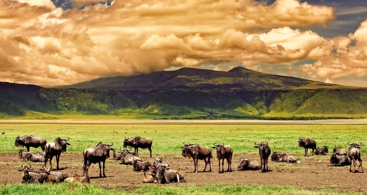 2 Days Tarangire & Ngorongoro Safari - Gracepatt Ecotours Kenya 1