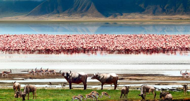 2 Days Tarangire & Ngorongoro Safari - Gracepatt Ecotours Kenya 2