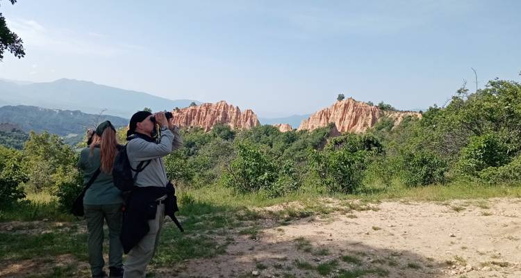 Des personnes observent les oiseaux avec des jumelles dans un paysage rocheux.