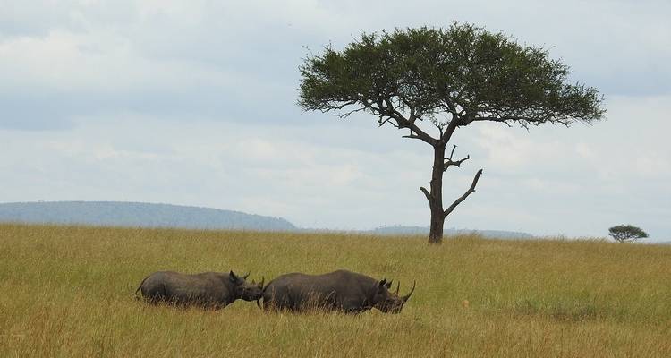 6-Day Authentic Luxury Safari - Professional Safari Africa 4