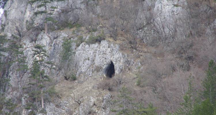 Brown Bear Viewing in Bulgaria - Penguin Travel 3