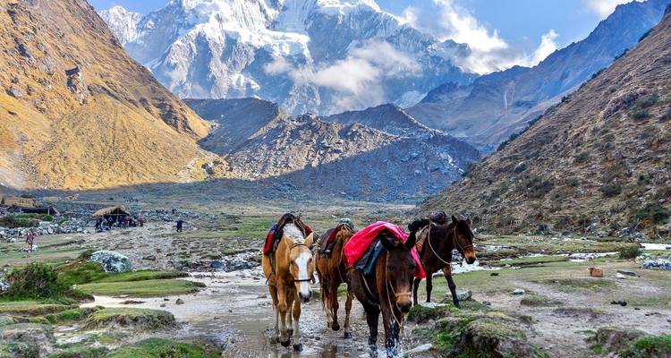 9 jours d'équitation : Trek du Salkantay au Machu Picchu - Expérience luxueuse - Responsible Travel South America 3