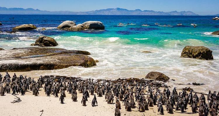 Piel de gallina a toneladas - viaje de aventura de 18 días - Chamaeleon 4