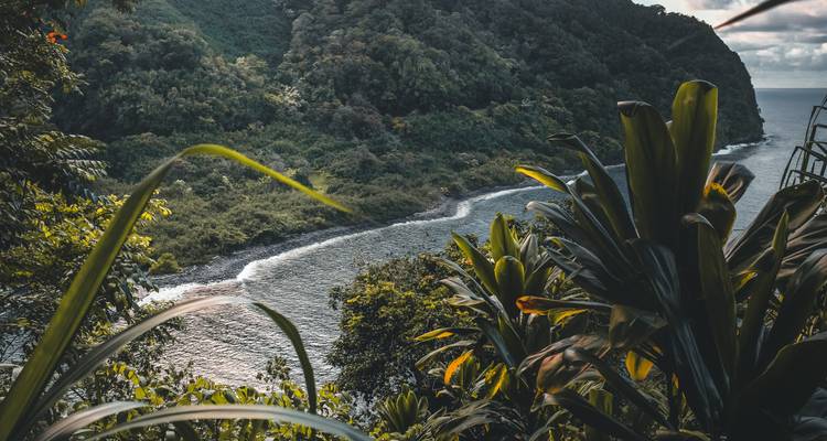 Aventure hawaïenne - Trois îles comprenant O'ahu, Big Island et Maui (de Honolulu, HI à Maui, HI) (2025) - Collette 3