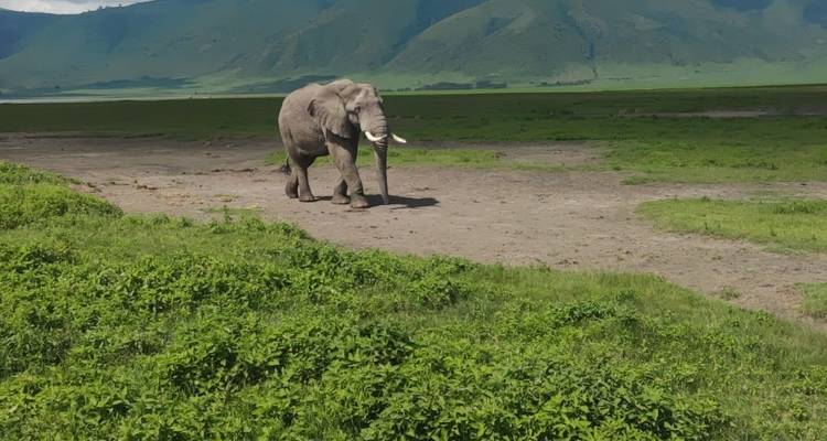 Budgeted Safari - Eatl Tour and Safari Group  4