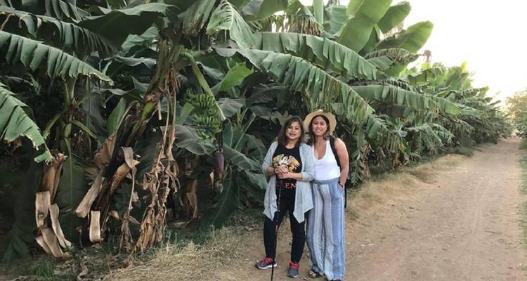 Deux femmes debout devant des bananiers.