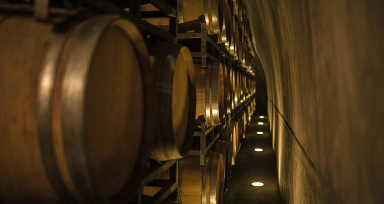 Trek & Climb: Cerro Montura (4,950m) & Mendoza Vineyards Tour - Unu Raymi Expeditions 3
