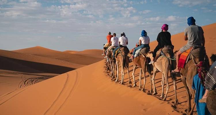 【España y Marruecos】Paquete turístico de 16 Días por Madrid, Andalucía y Casablanca para grupos pequeños - Delightful Travel 9