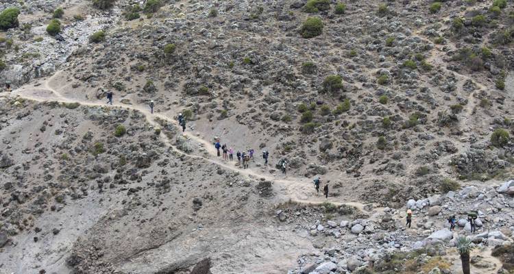 Climb Mt.Kilimanjaro Via Machame Route 9 Days - Authentic Africa 4