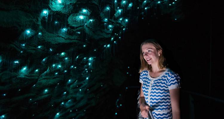 Person in a dark cave looking at glowing worms.