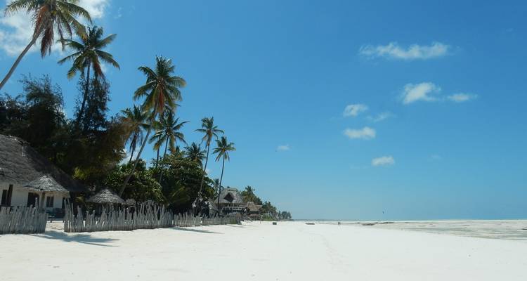 De Ciudad del Cabo a los gorilas en 56 días - campamento - Acacia Adventure Holidays 10