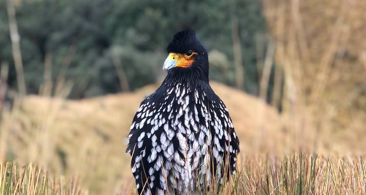 Randonnée et trekking au cœur des Andes équatoriennes - 7 jours - Authentic Ecuador 3