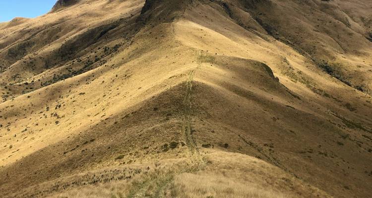 Randonnée et trekking au cœur des Andes équatoriennes - 7 jours - Authentic Ecuador 2