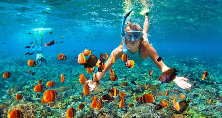 15 Days Beautiful Vietnam & Thailand  (private guide & driver） - UME Travel Co. Ltd 6